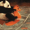 大熊猫暴躁摔砸东西的动态表情包合集