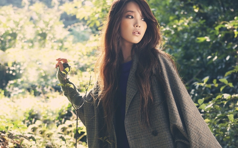 街头霸王雷米同人壁纸合集