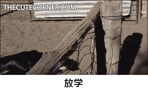 戳中所有学生党！这套日常表情包太真实了