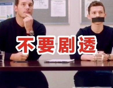《复联4》防剧透表情包合集来了