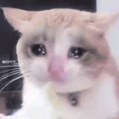 哭唧唧的猫咪动态表情包来啦