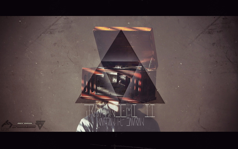 东方Project魂魄妖梦水下溺水 2K野生脊椎动物手机壁纸