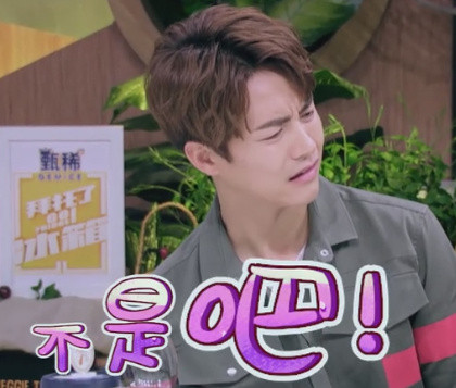 马天宇表情包合集来了，斗图必备！