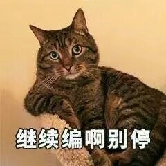 猫咪表情包合集来啦，斗图不用愁