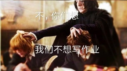 哈利波特主题表情包合集来了