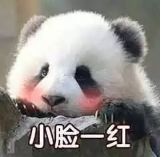 软萌大熊猫表情包合集来啦