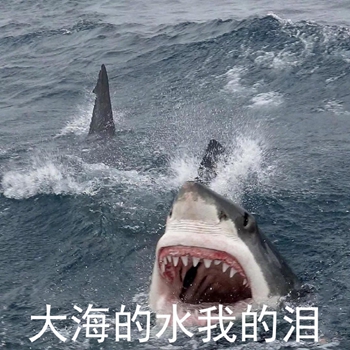 这套鲨鱼沙雕表情包，斗图时直接封神