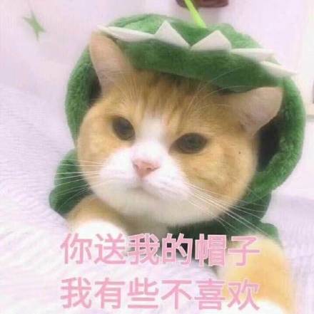 软萌小猫咪表情包合集，斗图聊天直接用