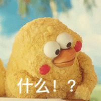 超好用的鹦鹉兄弟动图表情包合集