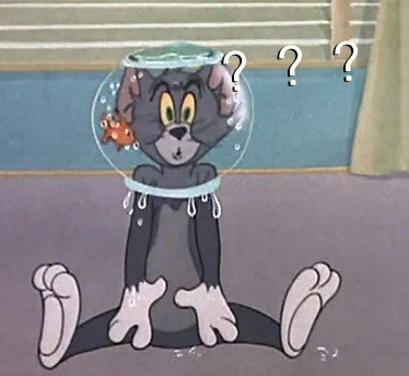 问号汤姆猫表情包专场来啦！