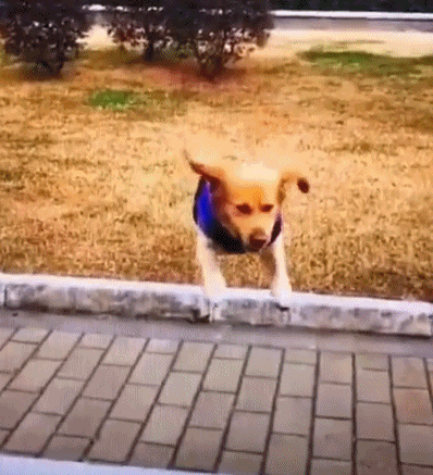 这套“生命之痛”表情包，戳中了多少人的日常emo