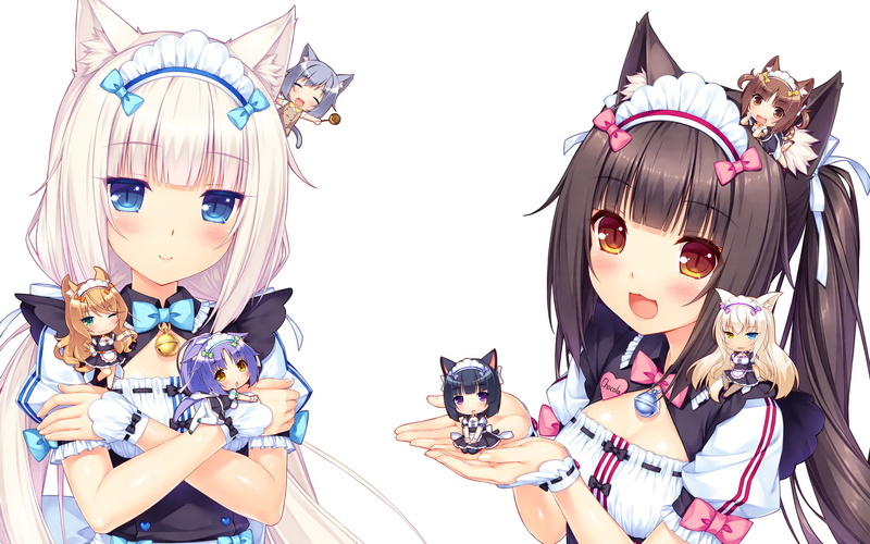 《猫娘乐园全员绝美1080P壁纸合集》