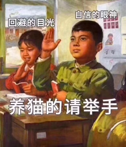 猫咪铲屎官专属表情包来啦