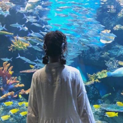 21张高清优雅女生背影微信头像 氛围感拉满