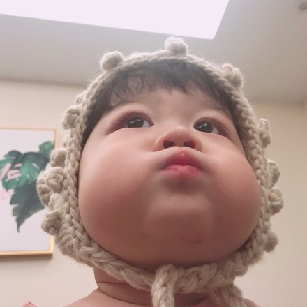 今日份头像合集更新