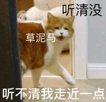 超实用橘猫聊天表情包合集
