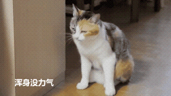 男生速存！女朋友来姨妈时的专属表情包