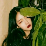 13张个性绿色系女生QQ头像合集