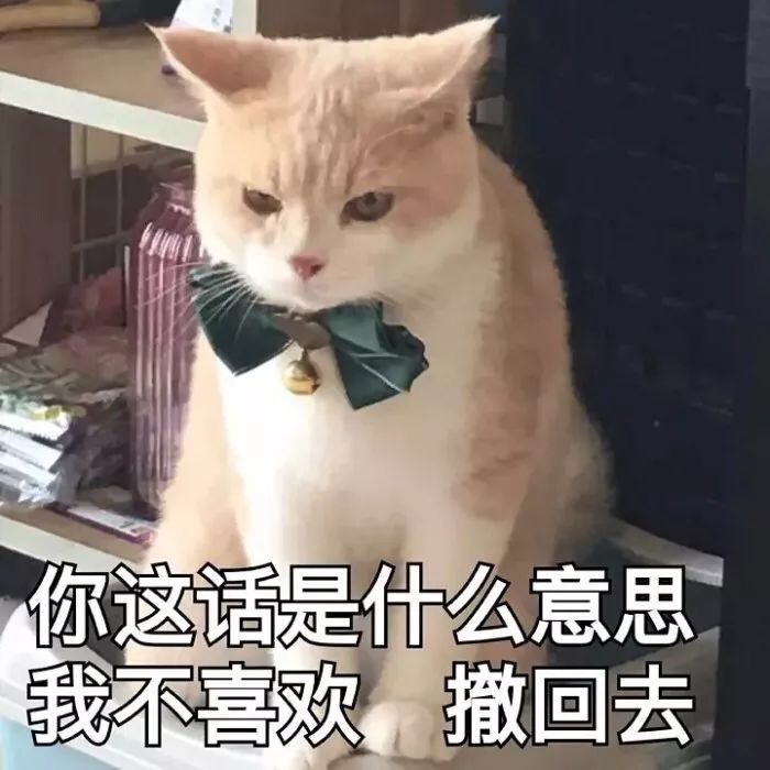 猫咪表情包第五弹来啦！
