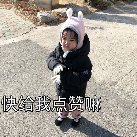 权律二朋友圈专属背景图合集