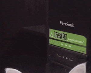 软萌治愈！这组猫猫动图表情包太上头了