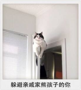 春节专属表情包来啦！精准戳中你的假期日常