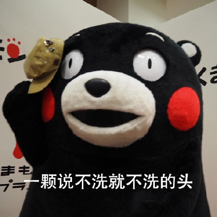 五一宅家的我，简直是熊本熊本熊！