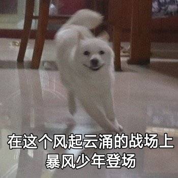 汪星人奔跑表情包合集来了