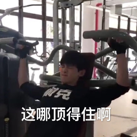 白敬亭专属表情包合集来了，粉丝速存