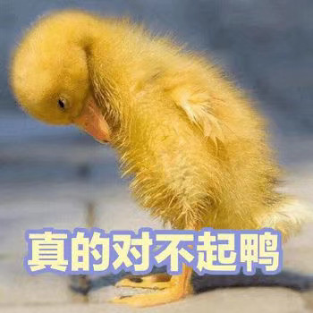 软萌小鸭鸭表情包来啦，每一张都超治愈