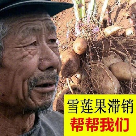 大爷：我感觉我啥生意都做不好...
