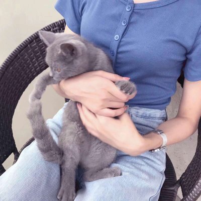23张高清御姐风QQ女生头像，拿捏女神氛围感