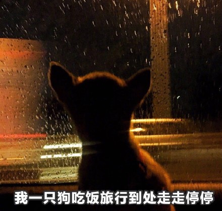 情人节临近，这套单身狗表情包快存好