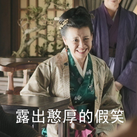 《知否》大娘子表情包合集 聊天斗图都能用