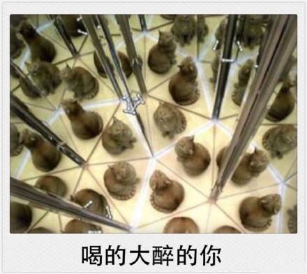春节专属表情包来啦！精准戳中你的假期日常