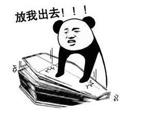 超接地气！熊猫头喊着要出棺材板的表情包合集