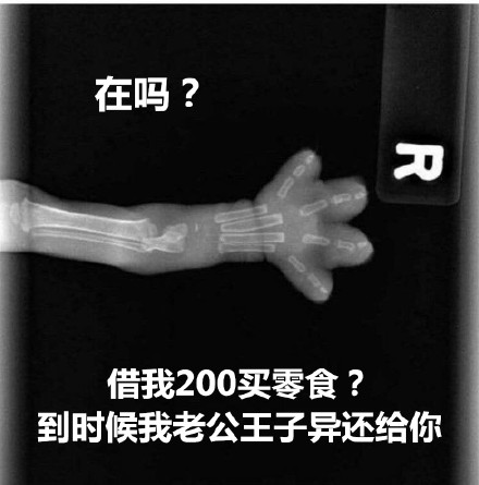 猫爪X光借钱表情包合集