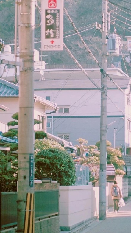 给大家整理了一组超治愈的日系壁纸