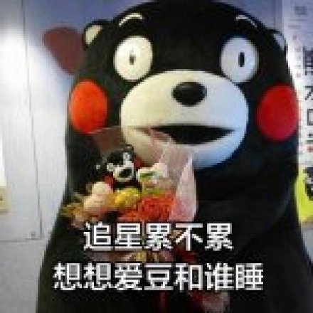 熊本熊版“人间真实”表情包来了：用火锅、脱发当“打气口号”
