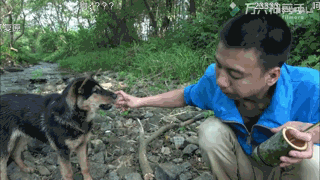 笑到捶桌！这套魔鬼倒放GIF表情包火了