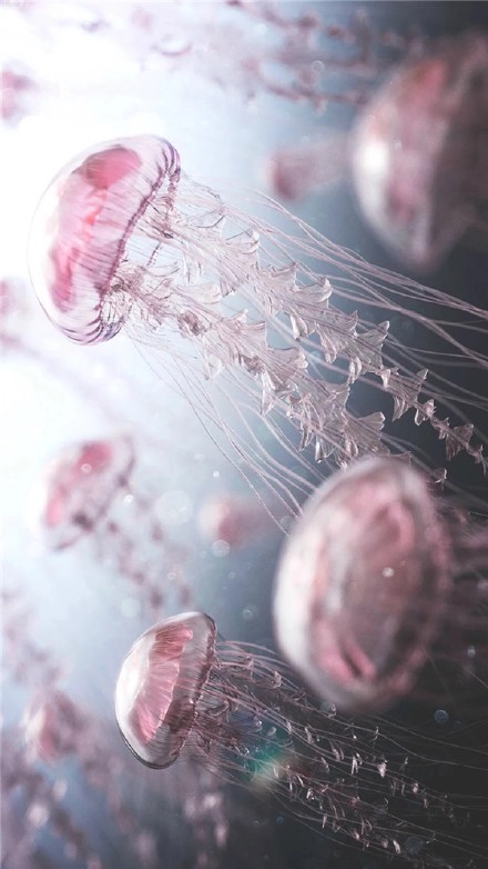 这组粉色系壁纸太治愈了！