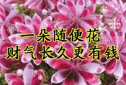 刷到就是赚到！这套中老年专属表情包太接地气了