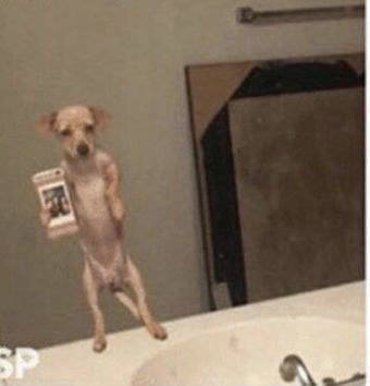 刚入职场vs工作几年后 这两组对比表情包太真实了