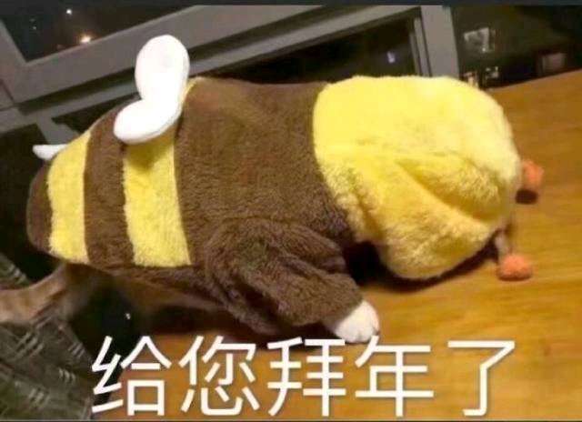 拜年回礼表情包来啦！“给您拜年了”配“给您拜回去”超应景