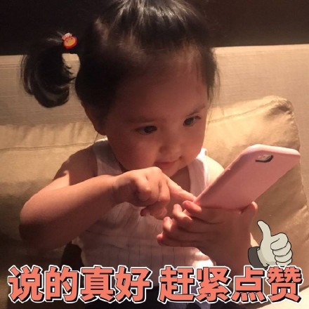 超火的精致猪猪女孩小刚几表情包合集