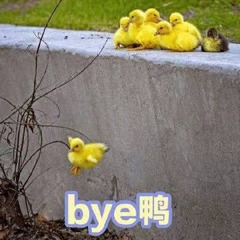 超火小黄鸭鸭鸭表情包合集
