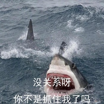 这套鲨鱼沙雕表情包，斗图时直接封神