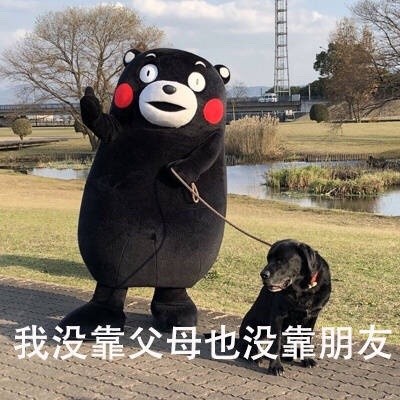 熊本熊版“一年赚的钱”整活表情包火了