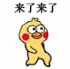 超实用小黄鸡路过表情包合集