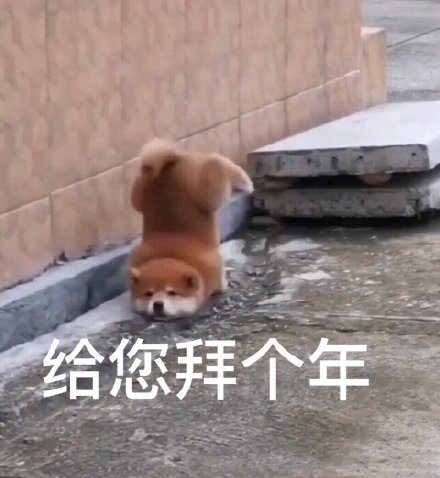 新年拜年不用愁！这套表情包直接用就行